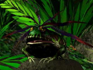 frog
