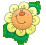 spring spring